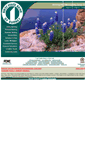 Mobile Screenshot of fsbburnet.com